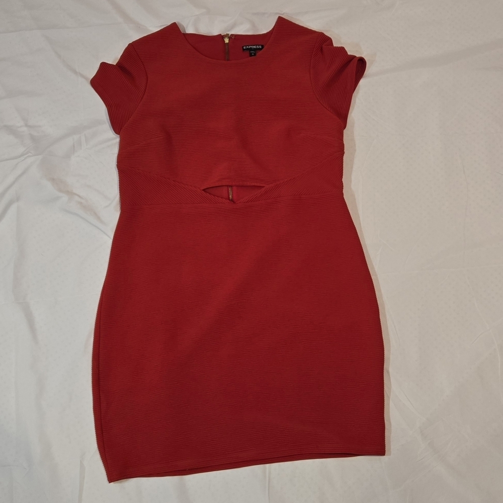 Express Bold Red Mini Dress